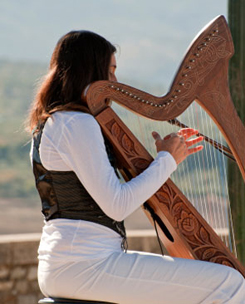 harp-player-sm.jpg
